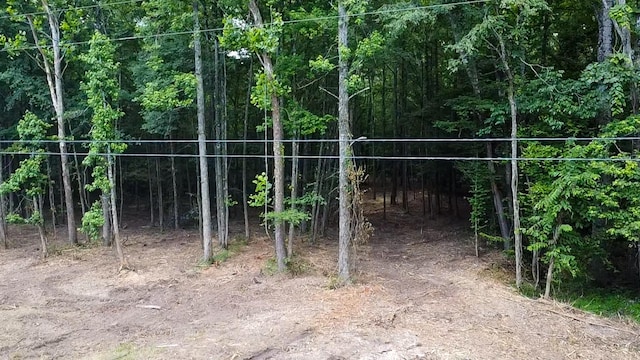 0 Birdsong Rd, Holladay, TN 38341 - photo 40