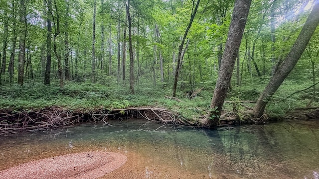 0 Birdsong Rd, Holladay, TN 38341 - photo 6