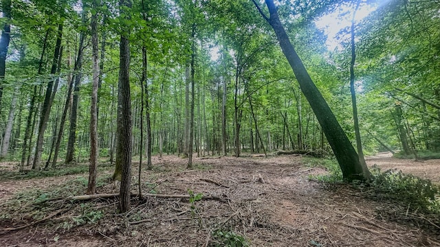 0 Birdsong Rd, Holladay, TN 38341 - photo 17
