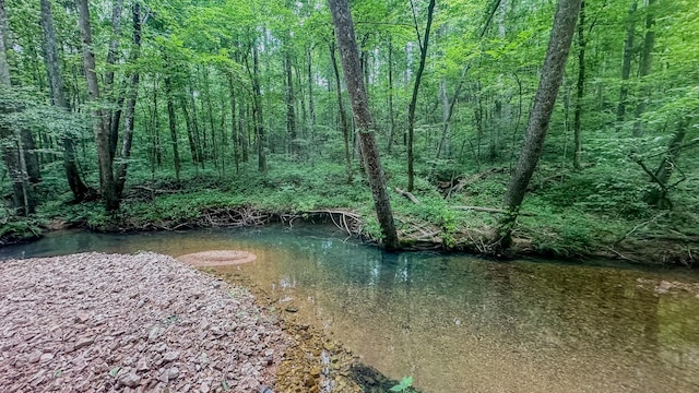 0 Birdsong Rd, Holladay, TN 38341 - photo 5