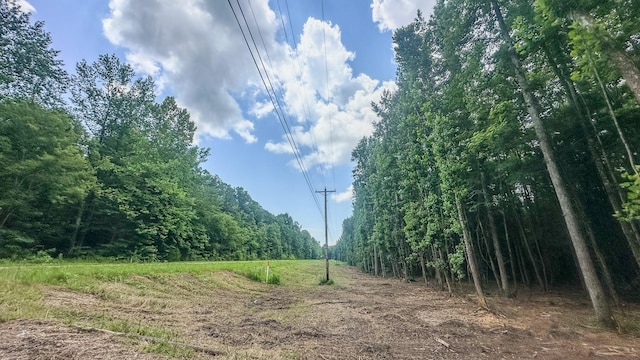 0 Birdsong Rd, Holladay, TN 38341 - photo 33