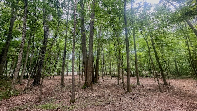 0 Birdsong Rd, Holladay, TN 38341 - photo 24