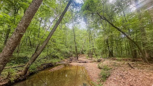 0 Birdsong Rd, Holladay, TN 38341 - photo 7