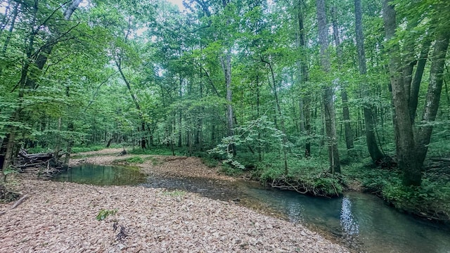 0 Birdsong Rd, Holladay, TN 38341 - photo 8