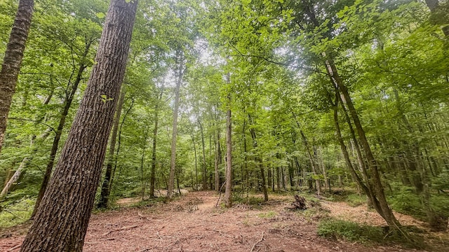 0 Birdsong Rd, Holladay, TN 38341 - photo 25