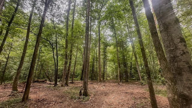 0 Birdsong Rd, Holladay, TN 38341 - photo 21
