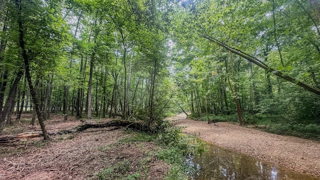 0 Birdsong Rd, Holladay, TN 38341 - photo 18