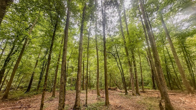 0 Birdsong Rd, Holladay, TN 38341 - photo 22
