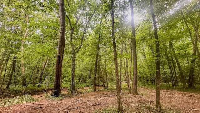 0 Birdsong Rd, Holladay, TN 38341 - photo 20