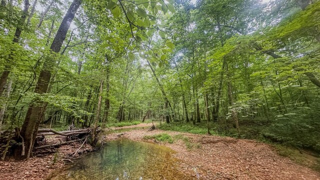 0 Birdsong Rd, Holladay, TN 38341 - photo 10