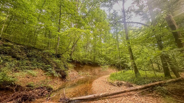 0 Birdsong Rd, Holladay, TN 38341 - photo 2