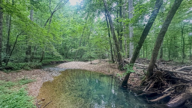 0 Birdsong Rd, Holladay, TN 38341 - photo 12