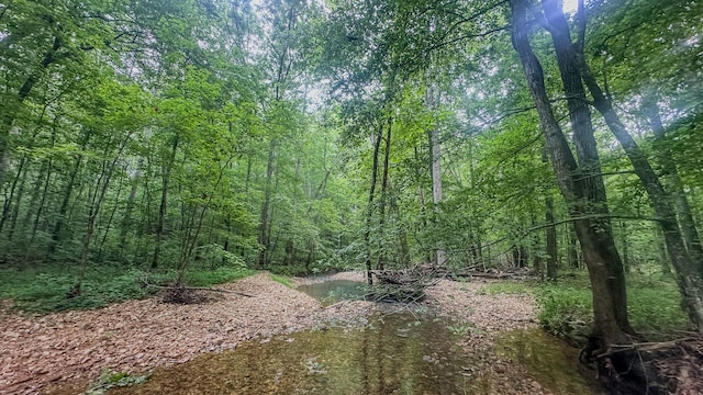0 Birdsong Rd, Holladay, TN 38341 - photo 14