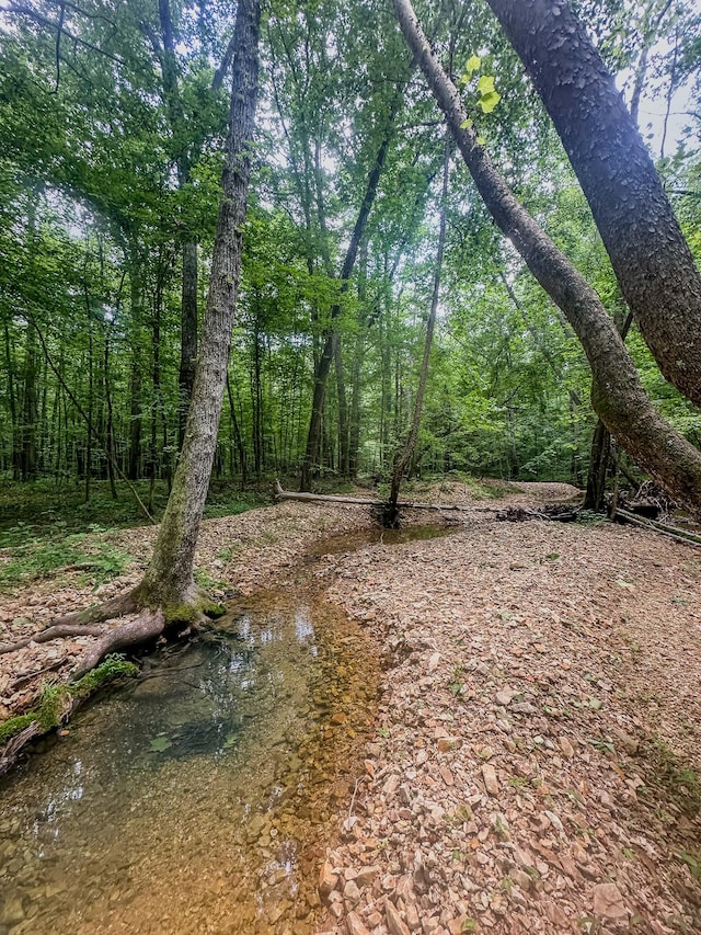 0 Birdsong Rd, Holladay, TN 38341 - photo 4