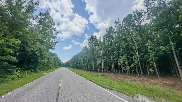 0 Birdsong Rd, Holladay, TN 38341 - photo 36