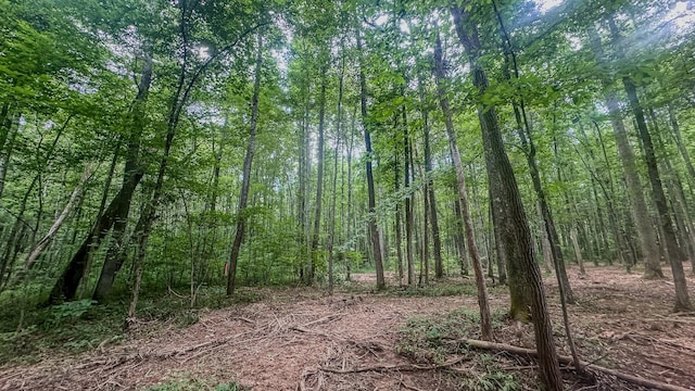 0 Birdsong Rd, Holladay, TN 38341 - photo 16