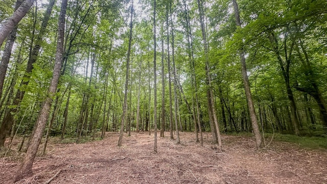 0 Birdsong Rd, Holladay, TN 38341 - photo 30
