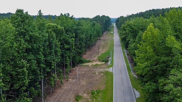 0 Birdsong Rd, Holladay, TN 38341 - photo 39