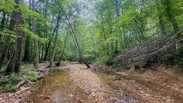 0 Birdsong Rd, Holladay, TN 38341 - photo 1