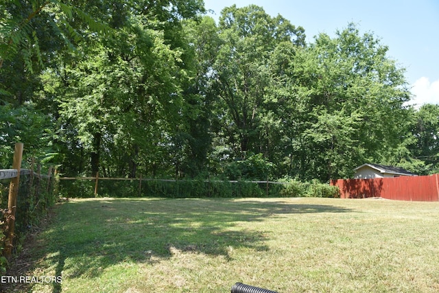 114 Clearview Dr, Rockwood, TN 37854 - photo 22