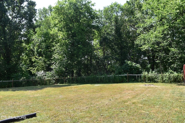 114 Clearview Dr, Rockwood, TN 37854 - photo 24
