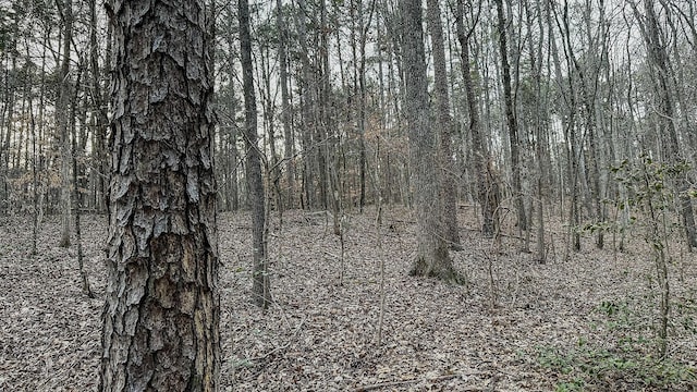 3677 Center Hill Rd, Finger, TN 38334 - photo 30