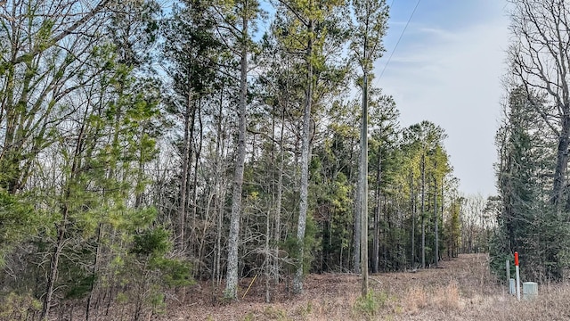 3677 Center Hill Rd, Finger, TN 38334 - photo 5