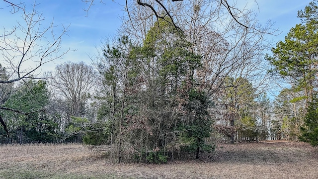 3677 Center Hill Rd, Finger, TN 38334 - photo 9