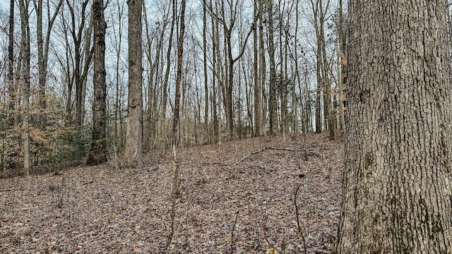 3677 Center Hill Rd, Finger, TN 38334 - photo 19