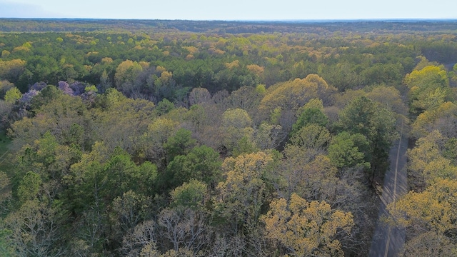 3677 Center Hill Rd, Finger, TN 38334 - photo 40