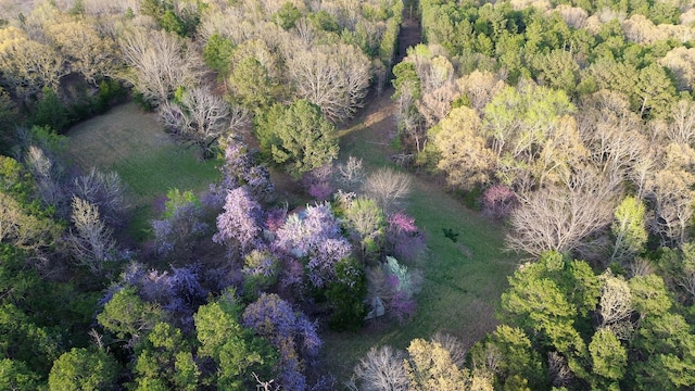3677 Center Hill Rd, Finger, TN 38334 - photo 50
