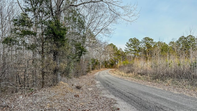 3677 Center Hill Rd, Finger, TN 38334 - photo 15