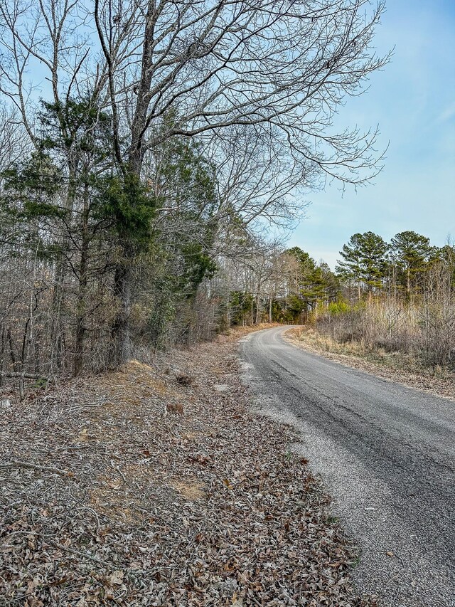 3677 Center Hill Rd, Finger, TN 38334 - photo 16