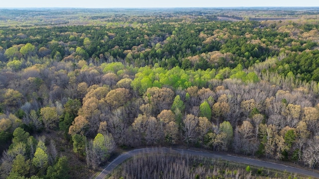 3677 Center Hill Rd, Finger, TN 38334 - photo 46