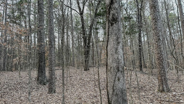 3677 Center Hill Rd, Finger, TN 38334 - photo 34
