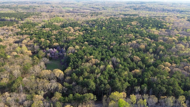 3677 Center Hill Rd, Finger, TN 38334 - photo 44