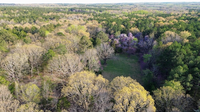 3677 Center Hill Rd, Finger, TN 38334 - photo 42