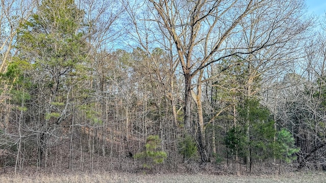 3677 Center Hill Rd, Finger, TN 38334 - photo 13