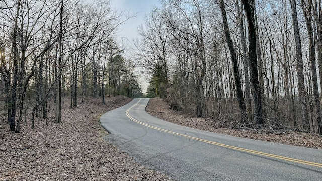 3677 Center Hill Rd, Finger, TN 38334 - photo 3