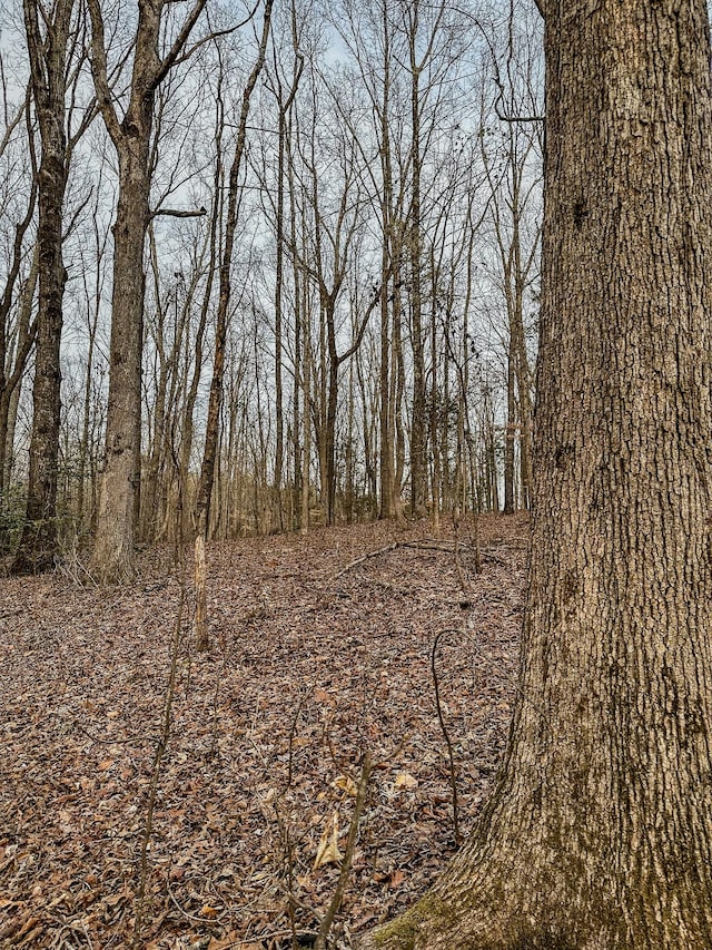 3677 Center Hill Rd, Finger, TN 38334 - photo 20