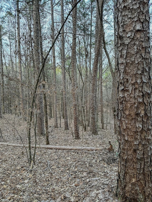 3677 Center Hill Rd, Finger, TN 38334 - photo 37