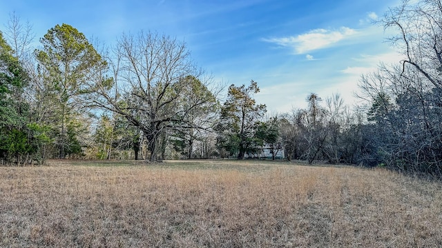 3677 Center Hill Rd, Finger, TN 38334 - photo 11