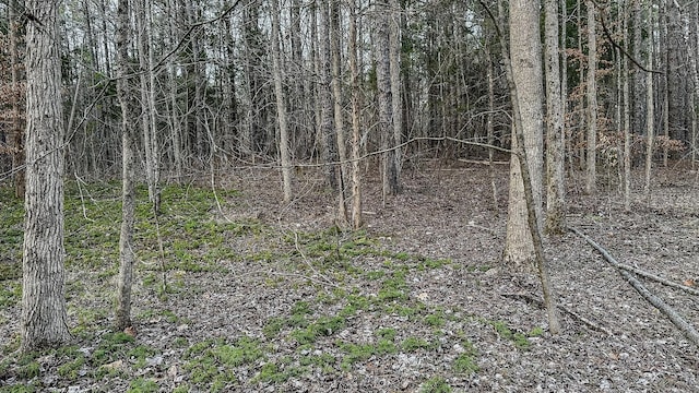 3677 Center Hill Rd, Finger, TN 38334 - photo 25