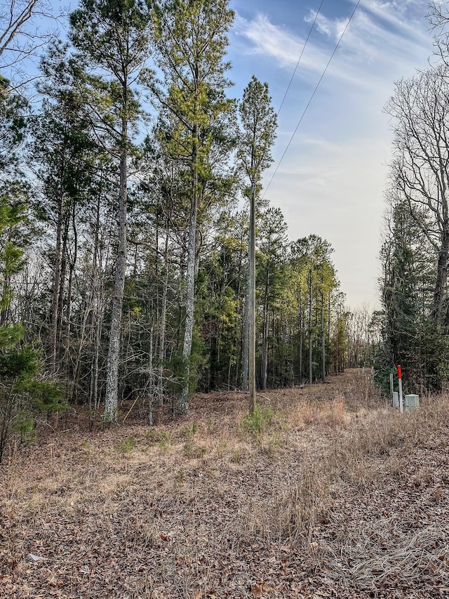 3677 Center Hill Rd, Finger, TN 38334 - photo 6