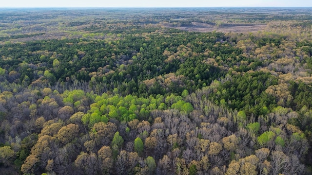 3677 Center Hill Rd, Finger, TN 38334 - photo 47