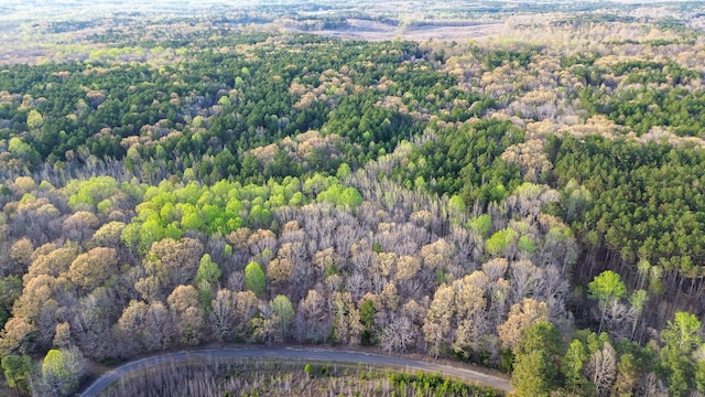 3677 Center Hill Rd, Finger, TN 38334 - photo 48