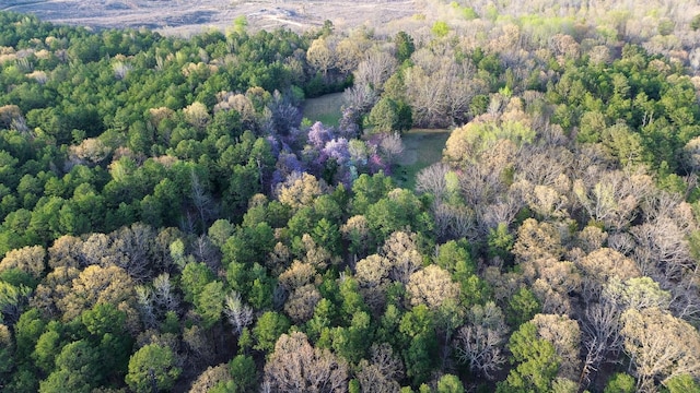3677 Center Hill Rd, Finger, TN 38334 - photo 49