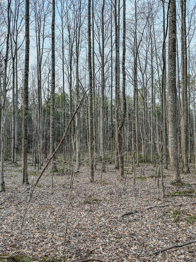 3677 Center Hill Rd, Finger, TN 38334 - photo 22