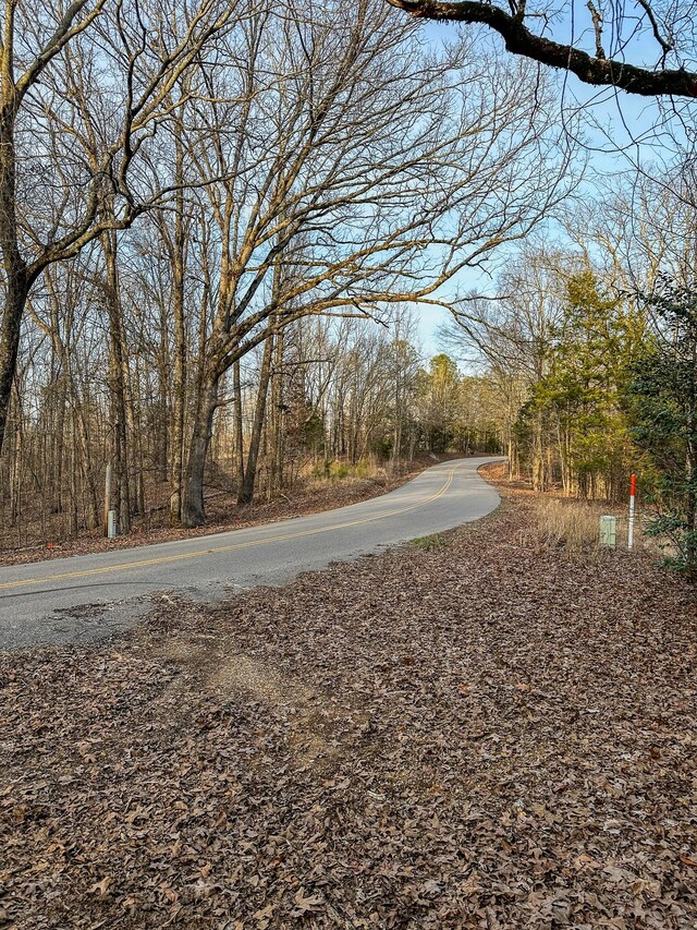 3677 Center Hill Rd, Finger, TN 38334 - photo 2