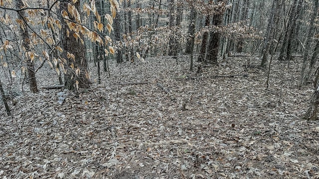 3677 Center Hill Rd, Finger, TN 38334 - photo 38